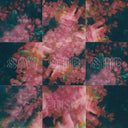 Prism (Colored Vinyl, Pink Rose, Indie Exclusive) [Vinyl]