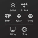 Songbird Internet Music Streamer