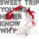 You Will Never Know Why (Limited Edition, Gatefold LP Jacket) (2 Lp's) [Vinyl]