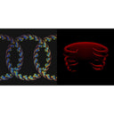 Tool - Lateralus (2LP/Picture Disc/4 Different Images/Holographic Gatefold) & Undertow