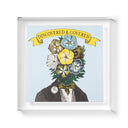 Display & Play Record Album Magnetic Float Frame | Vinyl Float Frame