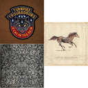 Cat In The Rain & Turnpike Troubadours & Long Way From Your Heart