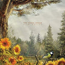 Slow Decay [Vinyl]