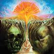 IN SEARCH OF THE LOST CHORD (180 GRAM TRANSLUCENT GOLD VINYL/LIMITED EDITION) [Vinyl]