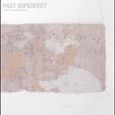 PAST IMPERFECT the best of tindersticks ’92 - ’21 (INDIE EXCLUSIVE) [Vinyl]