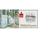 Violent Femmes & Permanent Record: The Very Best Of Violent Femmes (Coke Bottle Clear Vinyl/2LP)