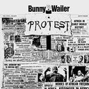 Protest [Import] [Vinyl]