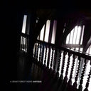 Antique [CD]