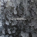 A Guy Called Gerald - Tronic Jazz: The Berlin Sessions |