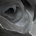 A-SYMMETRY - I Am Life |