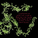 A TASTE OF RA - A Taste of Ra (II) |