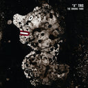 A TRIO - The Binding Third |