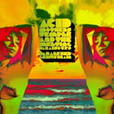 Acid Mothers Temple - Paralyzed Brain [Import] | Mint (M) Mint (M)