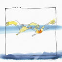 Vola |