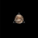 Audio Track 5 [Vinyl]
