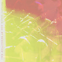 Live At Revolution Hall [Vinyl]