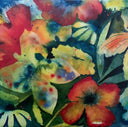 Adrianne Lenker - Songs And Instrumentals | Mint (M) Mint (M)