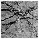 AGF & VARIOUS - Arachnesound |