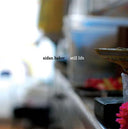 AIDAN BAKER - Still Life |