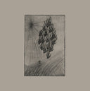 AINE O'DWYER - Locusts |