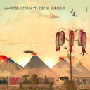 AKANE - Night-Time Birds |