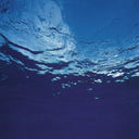 Akira Ito - Marine Flowers |