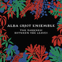 The Darkness Between The Leaves [CD]