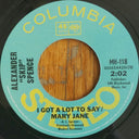 Alexander Spence - I Want A Rock & Roll Band (7" VINYL / RSD) | Mint (M) Mint (M)