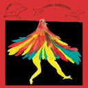 ALICE - L'Oiseau Magnifique |