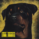 All Night [CD]