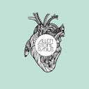 Radius [Coke Bottle Clear LP] [Vinyl]