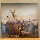 Interpol - Our Love To Admire | Mint (M) Mint (M)