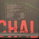 The New Pornographers - Challengers (180g VINYL) | Mint (M) Mint (M)