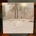 Wisp - Pandora (MILKY CLEAR VINYL) | Mint (M) Mint (M)
