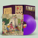 Animal Collective - Feels (20TH ANNIVERSARY 3x GRAPE VINYL) | Mint (M) Mint (M)