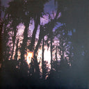 Beach House - Bloom (VINYL)(2023) | Mint (M) Mint (M)