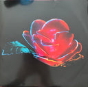 Beach House - Depression Cherry | Mint (M) Mint (M)