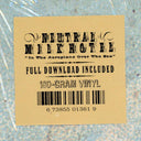 Neutral Milk Hotel - In The Aeroplane Over The Sea (180 GRAM VINYL) | Mint (M) Mint (M)