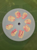 Glass Animals - Dreamland (COLOR VINYL) | Mint (M) Mint (M)