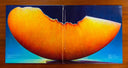 Vinyl Moon Volume 038: Sticky Fruit *SLEEVE ONLY* | Near Mint (NM)
