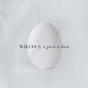 Wilco - A Ghost Is Born: 20th Anniversary (CD BOXSET) | Mint (M) Mint (M)