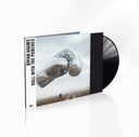 Bryan Adams - ROLL WITH THE PUNCHES (BLACK VINYL) | Mint (M) Mint (M)