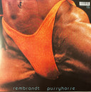 Butthole Surfers - Rembrandt Pussyhorse (VINYL) | Mint (M) Mint (M)