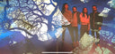 Silversun Pickups - Widow's Weeds | Mint (M) Mint (M)