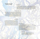 Silversun Pickups - Widow's Weeds | Mint (M) Mint (M)