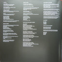 The Last Shadow Puppets - Everything You've Come To Expect | Mint (M) Mint (M)