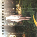 A Perfect Circle - Thirteenth Step | Mint (M) Mint (M)