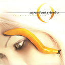 A Perfect Circle - Thirteenth Step | Mint (M) Mint (M)