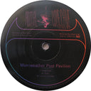 Animal Collective - Merriweather Post Pavilion (2xVINYL) | Mint (M) Mint (M)