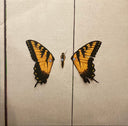 Paramore - Brand New Eyes (VINYL) | Mint (M) Mint (M)